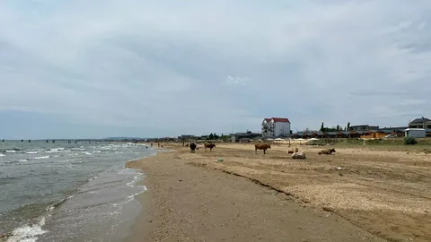 В Избербаше обустроят пляж в поселке Рыбный 